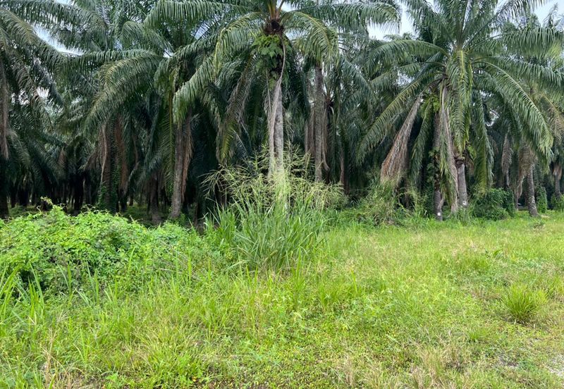 Rancangan Tanah Belia, RTB Bukit Changgang