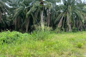 Rancangan Tanah Belia, RTB Bukit Changgang