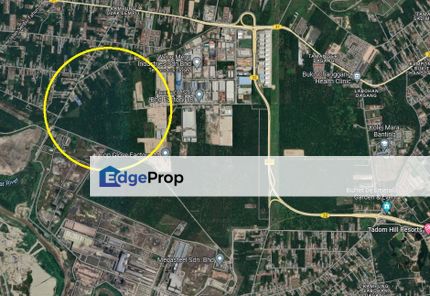 Industrial Zoning Land @ Olak Lempik Tanjung Dua Belas, Banting, Kuala Langat for Sale, Selangor, Banting