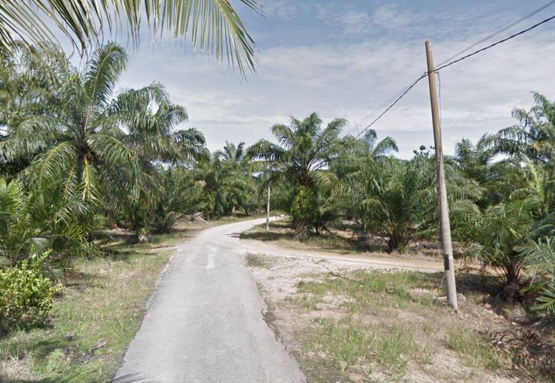 Agricultural Land located at Jeram, Kuala Selangor 