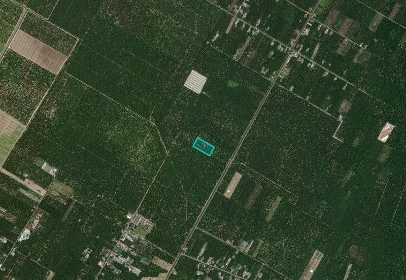 OFF JALAN KE TANJUNG SEPAT