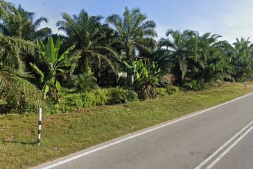 Batu 15, Bukit Cheeding Industrial Zoning Land, Tanjung Dua Belas Kuala Langat 