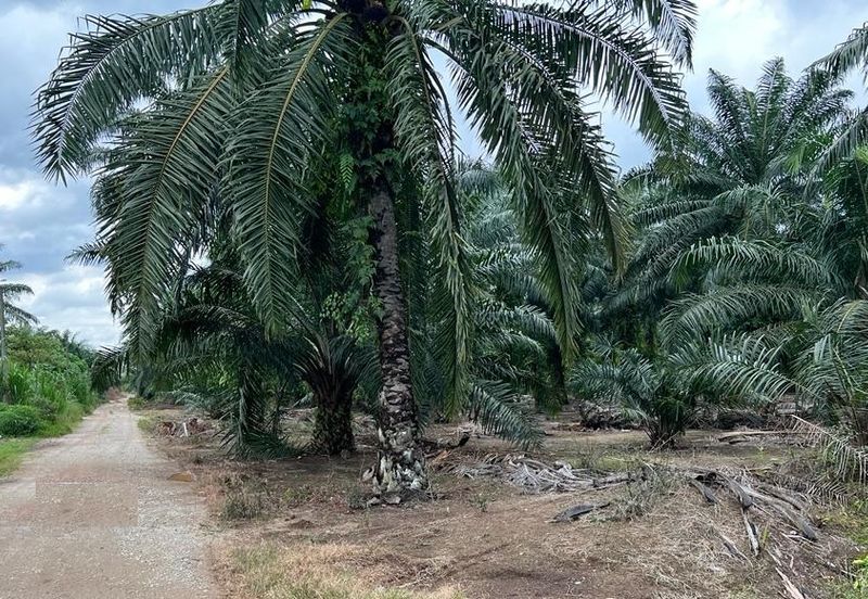 Taman Perindustrian Air Hitam Phase 1