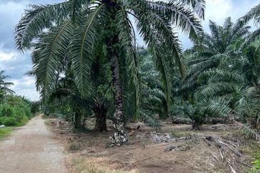 Taman Perindustrian Air Hitam Phase 1