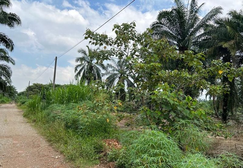 Taman Perindustrian Air Hitam Phase 1