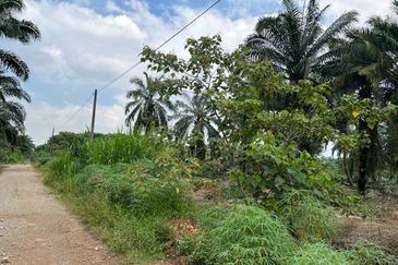 Taman Perindustrian Air Hitam Phase 1