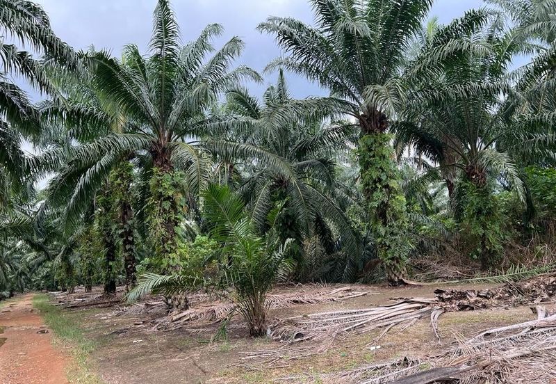 Taman Perindustrian Air Hitam Phase 1
