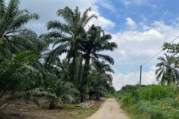 Taman Perindustrian Air Hitam Phase 1