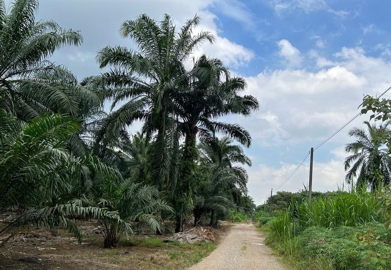 Taman Perindustrian Air Hitam Phase 1