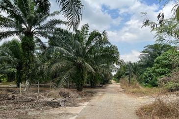 Taman Perindustrian Air Hitam Phase 1