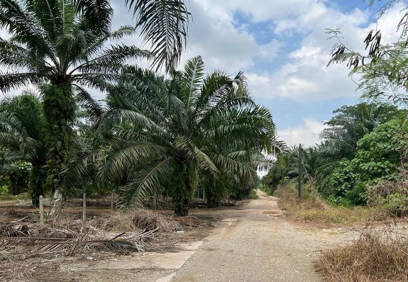 Taman Perindustrian Air Hitam Phase 1