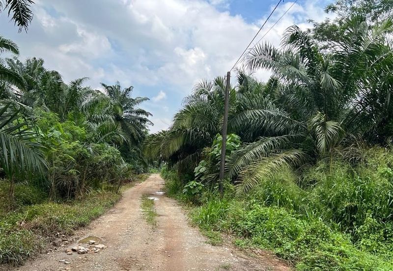 Taman Perindustrian Air Hitam Phase 1