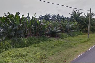 Agricultural Land, Mukim Batu, Tanjung Sepat, Kuala Langat for Sale