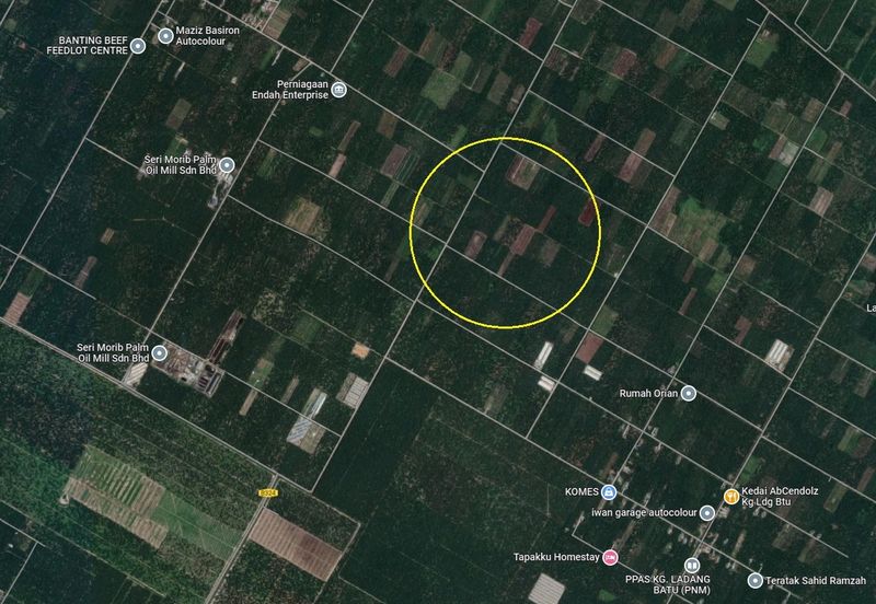 Agricultural Land, Mukim Batu, Tanjung Sepat, Kuala Langat for Sale