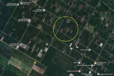 Agricultural Land, Mukim Batu, Tanjung Sepat, Kuala Langat for Sale