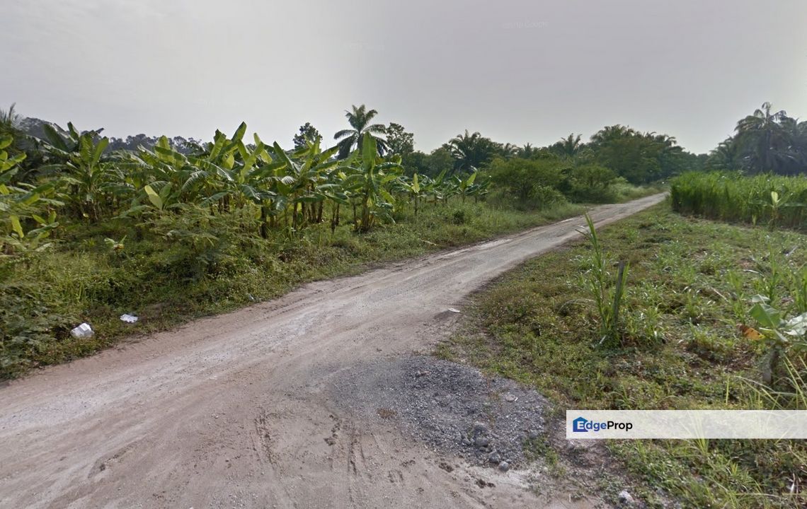 Agricultural Land (Residential Zoning), Jalan Sawa Guni, Kampung Bukit Kapar, Kapar, Selangor for Sale, Selangor, Kapar 
