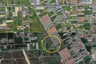 REVOLUSI HIJAU JOHAN SETIA