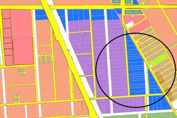 REVOLUSI HIJAU JOHAN SETIA