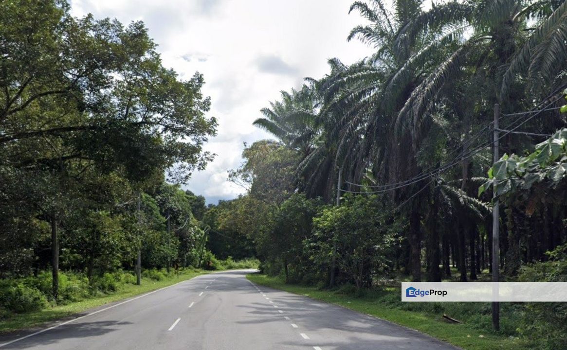 Batang Kali Residential Zoning Land for Sale, Selangor, Batang Kali