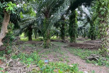13 acres Agricultural Land Jeram, Kuala Selangor  