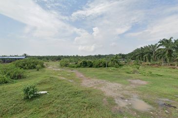 Agricultural Land, Jalan Pusara Kampung Sawah Banting for Sale