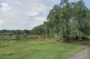 Agricultural Land, Jalan Pusara Kampung Sawah Banting for Sale