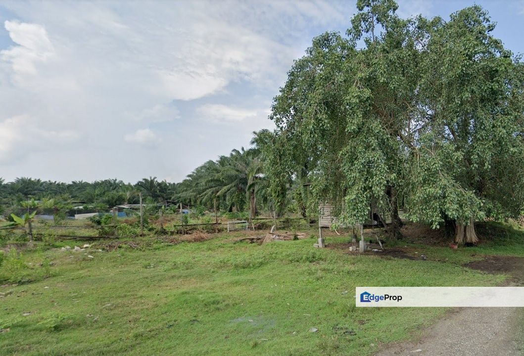 Agricultural Land, Jalan Pusara Kampung Sawah Banting for Sale, Selangor, Banting