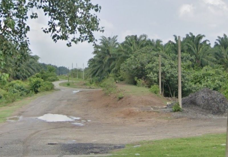 Agricultural Land, Jalan Pusara Kampung Sawah Banting for Sale