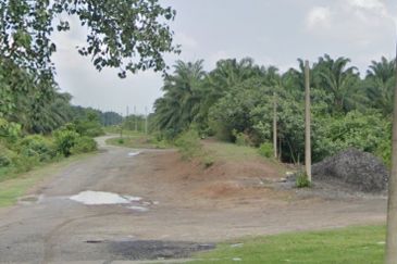 Agricultural Land, Jalan Pusara Kampung Sawah Banting for Sale