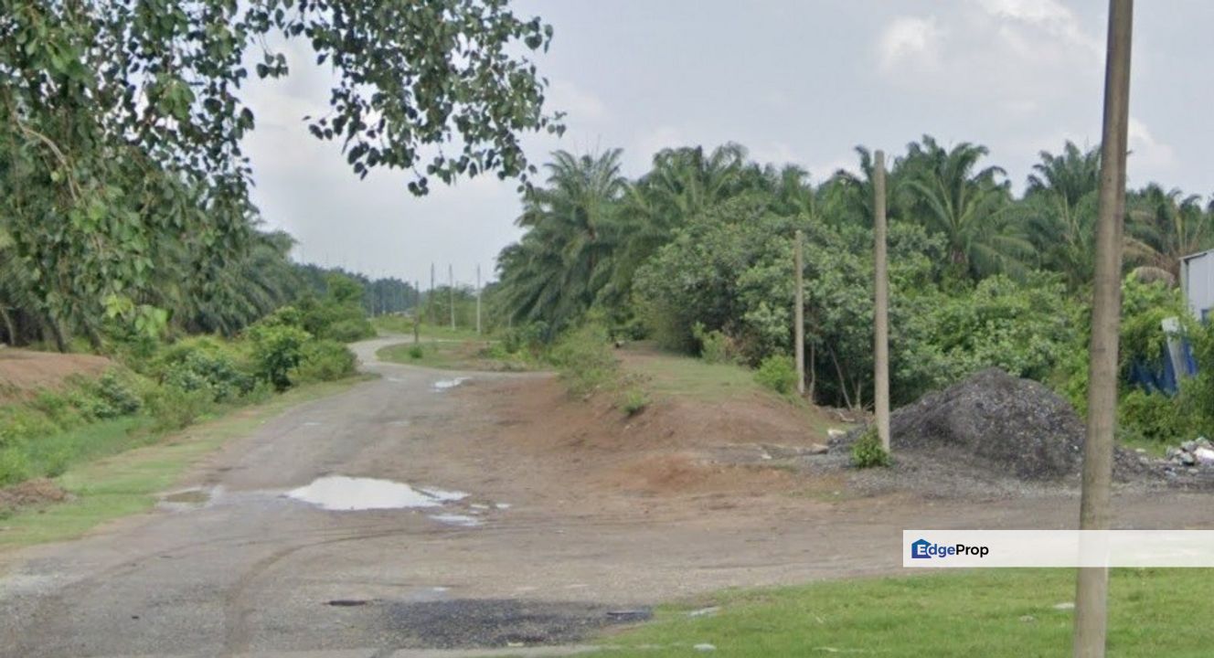 Agricultural Land, Jalan Pusara Kampung Sawah Banting for Sale, Selangor, Banting