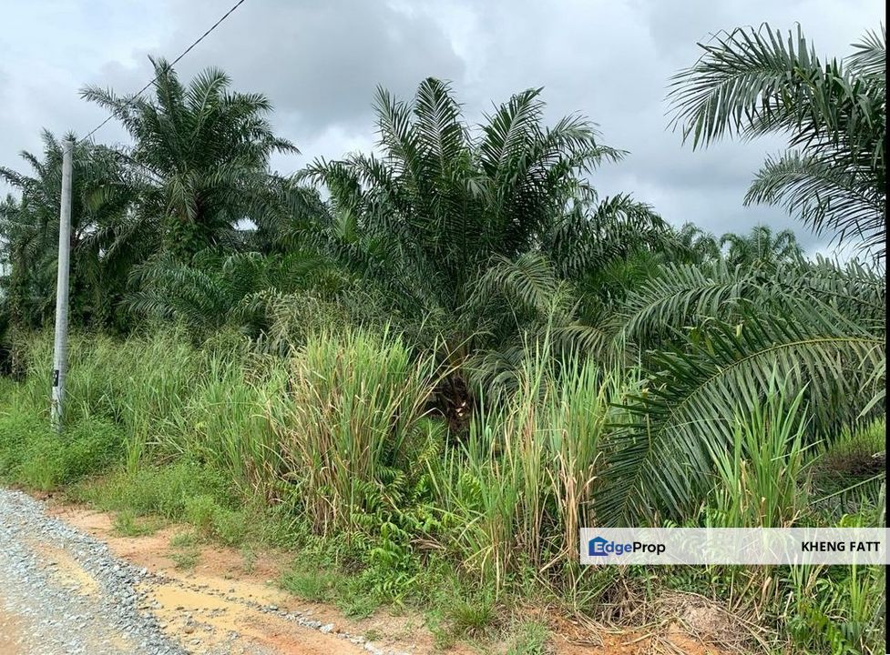 Kampung Sri Cheeding, Banting, Jenjarom , Selangor, Banting