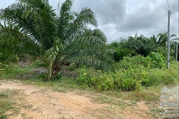 Kampung Sri Cheeding, Banting, Jenjarom 