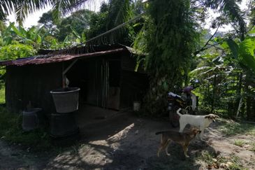 9ac Orchard Agricultural Land, Sungai Klau, Raub