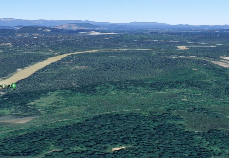 Oil Palm Land, Daerah Dungun, Mukim Rasau 