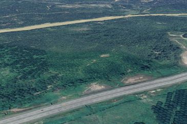  Oil Palm Land, Daerah Dungun, Mukim Rasau 