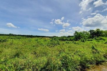 4.47 acres Industrial Zoning Land Telok Panglima G