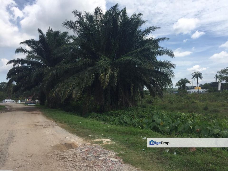 Residential Land Bukit Cerakah, Bukit Kapar, Kapar, Selangor, Kapar 