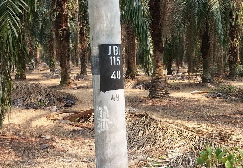 PEKAN SIMPANG TIGA IJOK