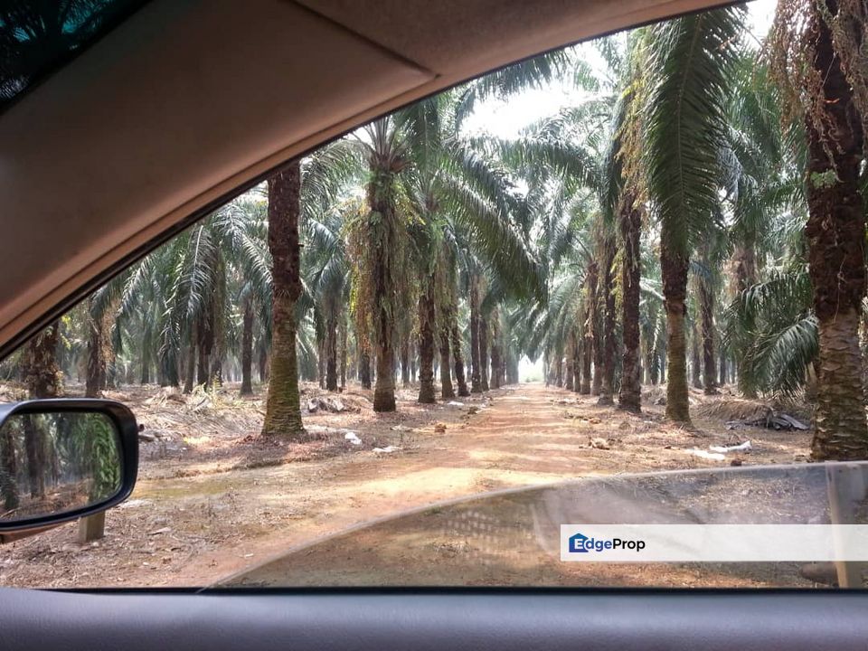 Industrial Zoning Land, off Bukit Badong, Ijok, Selangor, Batang Berjuntai