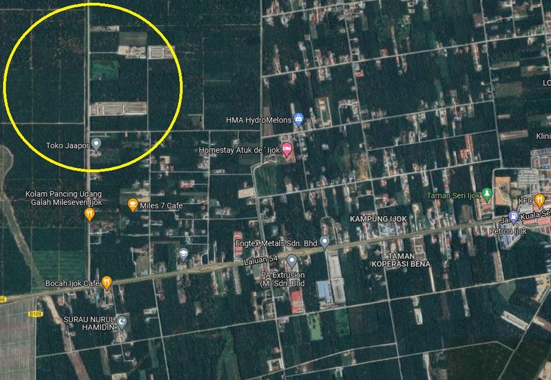 PEKAN SIMPANG TIGA IJOK