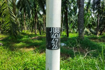 PEKAN SIMPANG TIGA IJOK