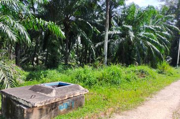 PEKAN SIMPANG TIGA IJOK