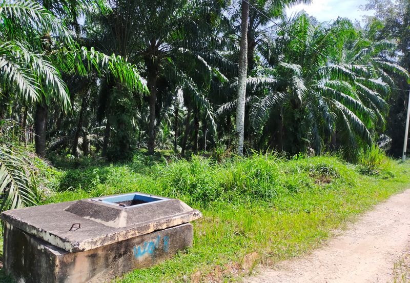 PEKAN SIMPANG TIGA IJOK