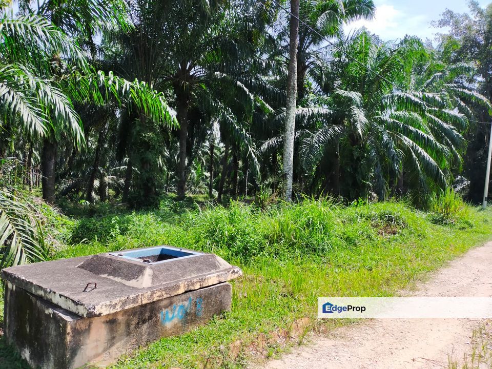 Industrial Land, Jalan Rukun Simpang Tiga Ijok, Selangor, Batang Berjuntai