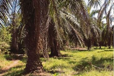 Banting, Telok Panglima Garang Industrial Land