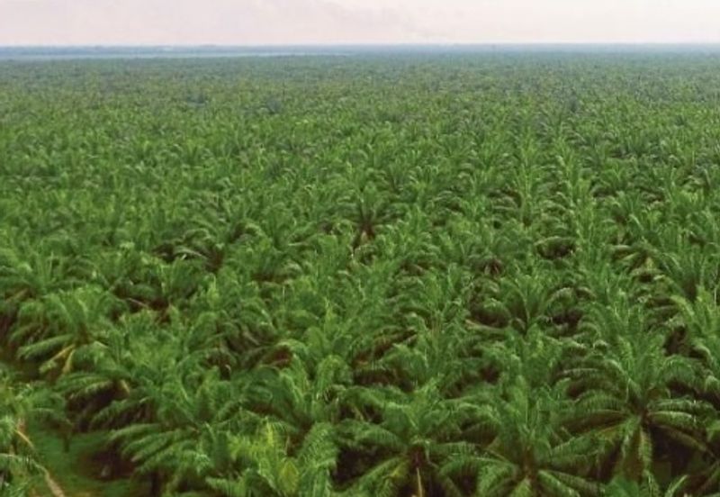 Banting, Telok Panglima Garang Industrial Land