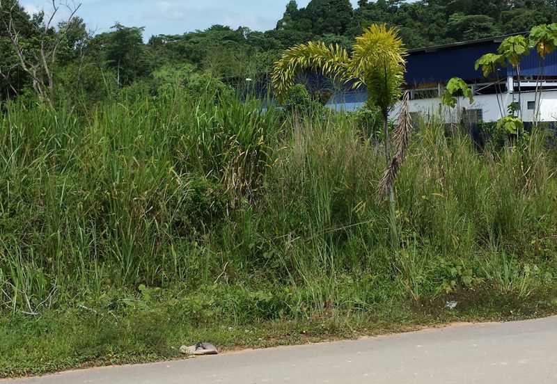 Pulau Meranti ( Industrial )