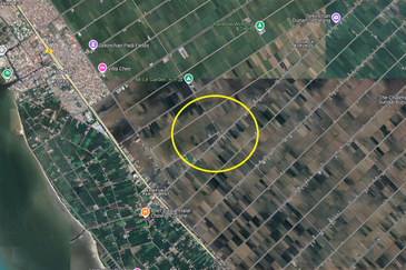 Agriculture Land, Jalan Parit 4 Pantai Sungai Burung, Kampung Sungai Burung Sekinchan Tanjung Karang 
