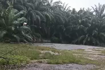 Kampung Sri Cheeding