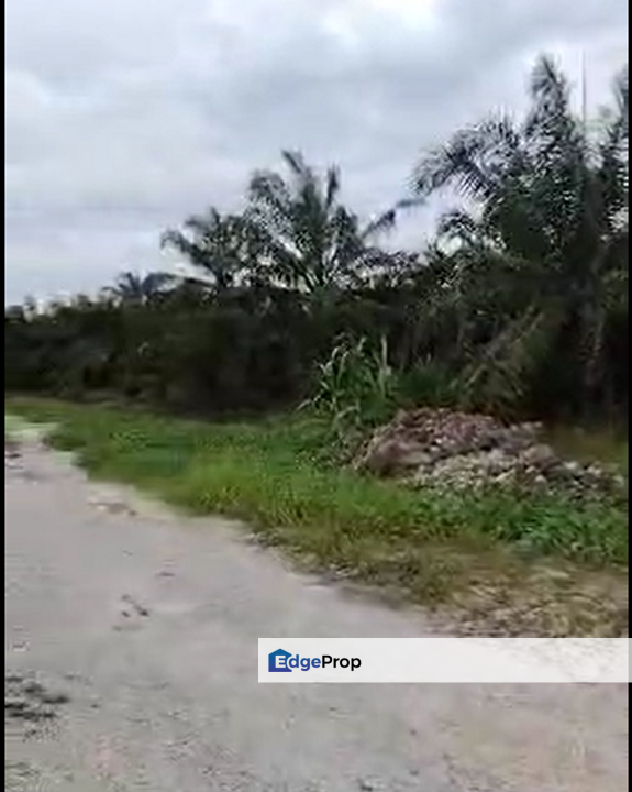 Industrial Zoning Land, Jenjarom,  Kampung Seri Cheeding, Banting, Selangor, Selangor, Banting